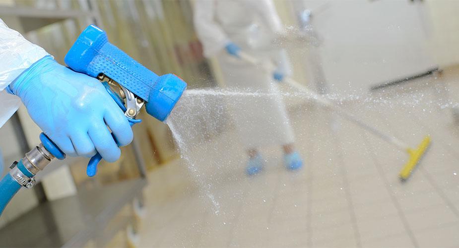 How To Improve Your Scale's Washdown Process