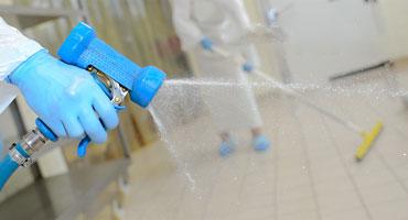 How To Improve Your Scale's Washdown Process