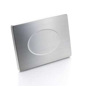 C100 Stainless Steel Pan/Platter (6-60Lb.)