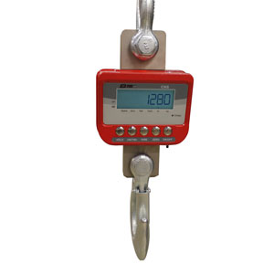 CNS Crane Scale
