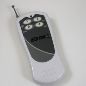 CNS Crane Scale