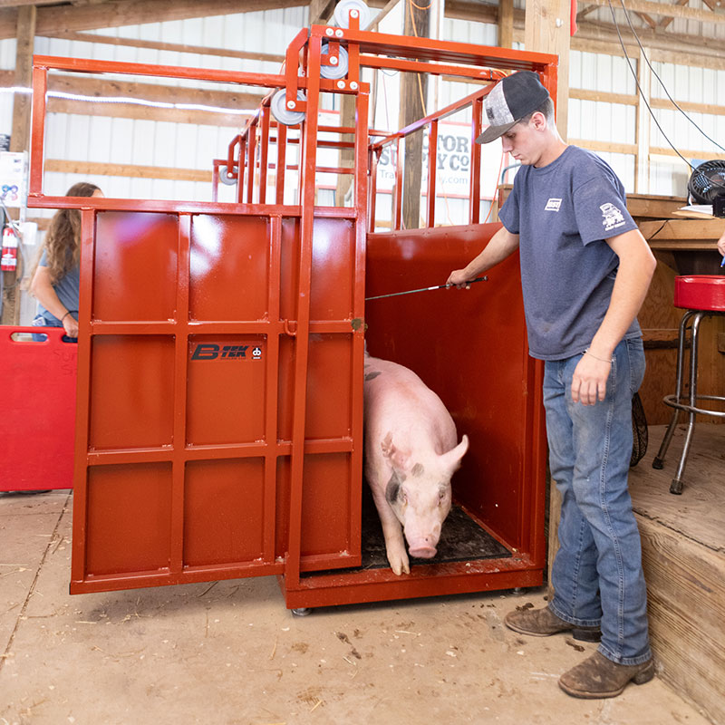 Large Single Animal Livestock Scale