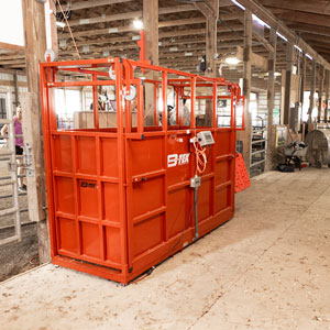 Large Single Animal Livestock Scale
