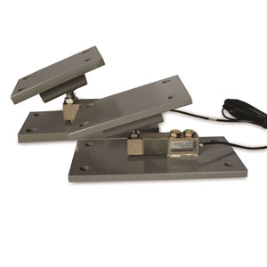 LCMT Mounting Assembly