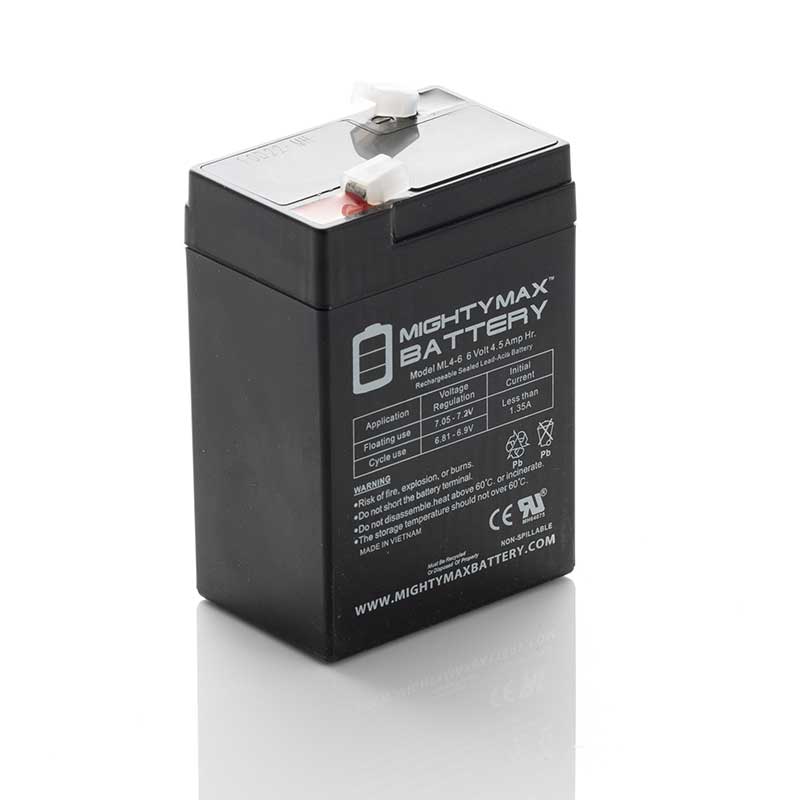 C100 & BWS Worldweigh Scale Battery