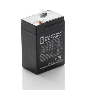 C100 & BWS Worldweigh Scale Battery
