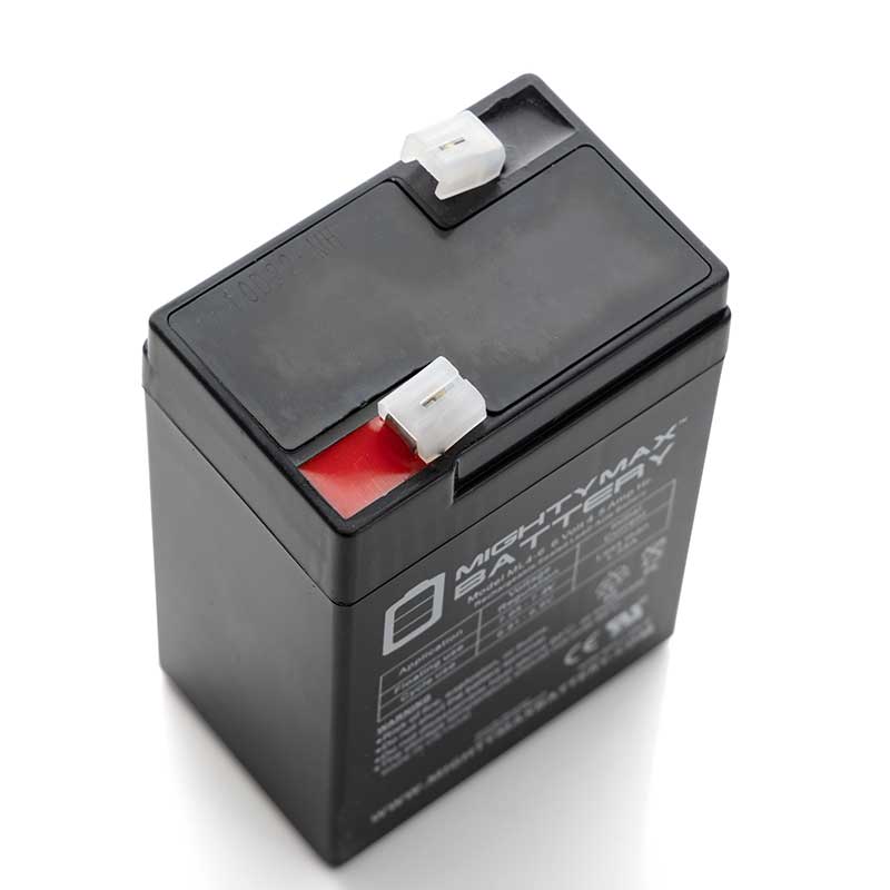 C100 & BWS Worldweigh Scale Battery