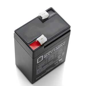 C100 & BWS Worldweigh Scale Battery