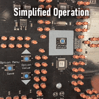 SUPERBRIGHT 2 LED Remote Display
