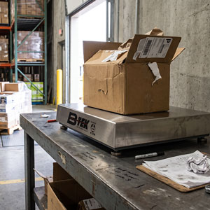 Industrial Bench Scale - Carbon Steel